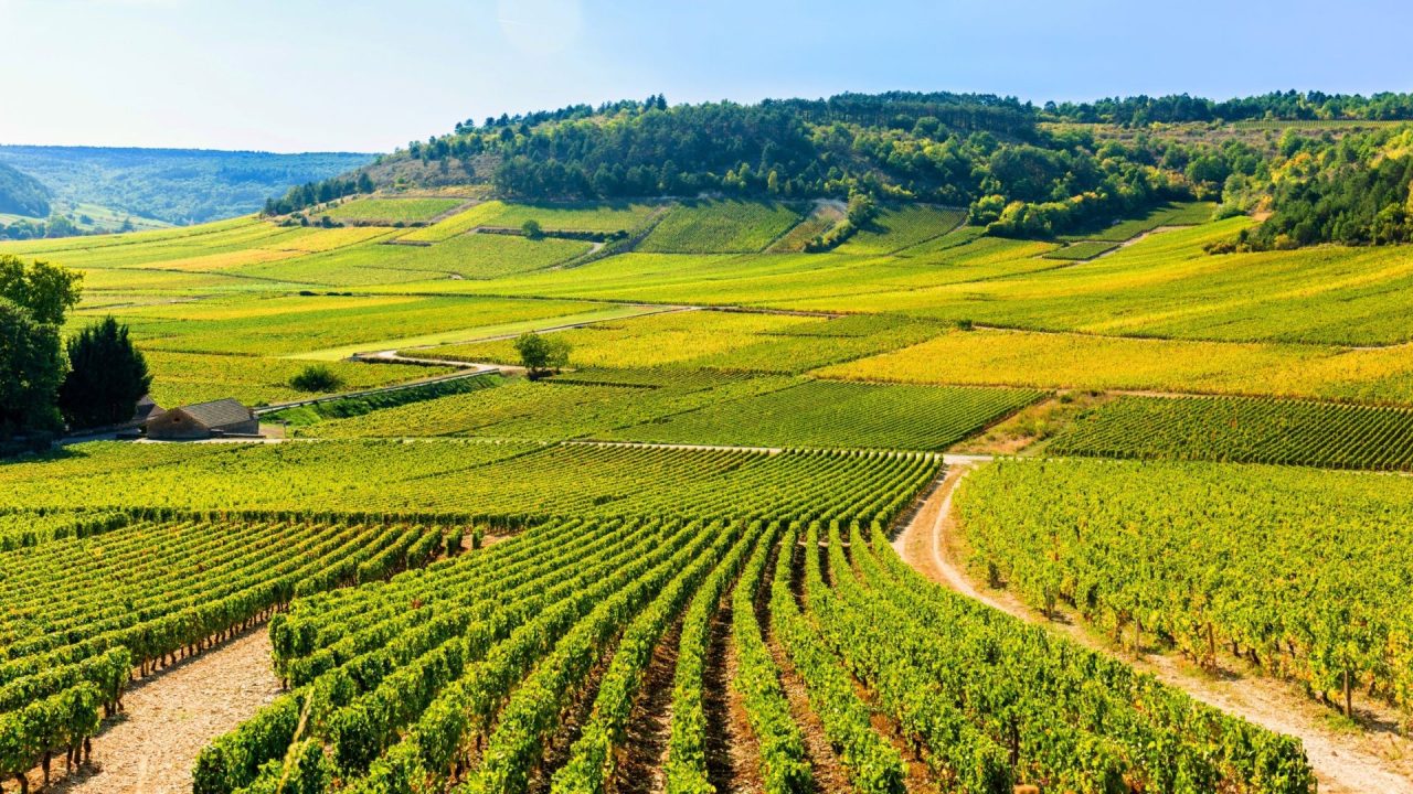 découvrez pourquoi 28 % des habitants de bourgogne-franche-comté choisissent de ne pas déclarer leurs sinistres. analysez les enjeux et les conséquences de cette tendance inquiétante sur la couverture assurance et la protection des biens.