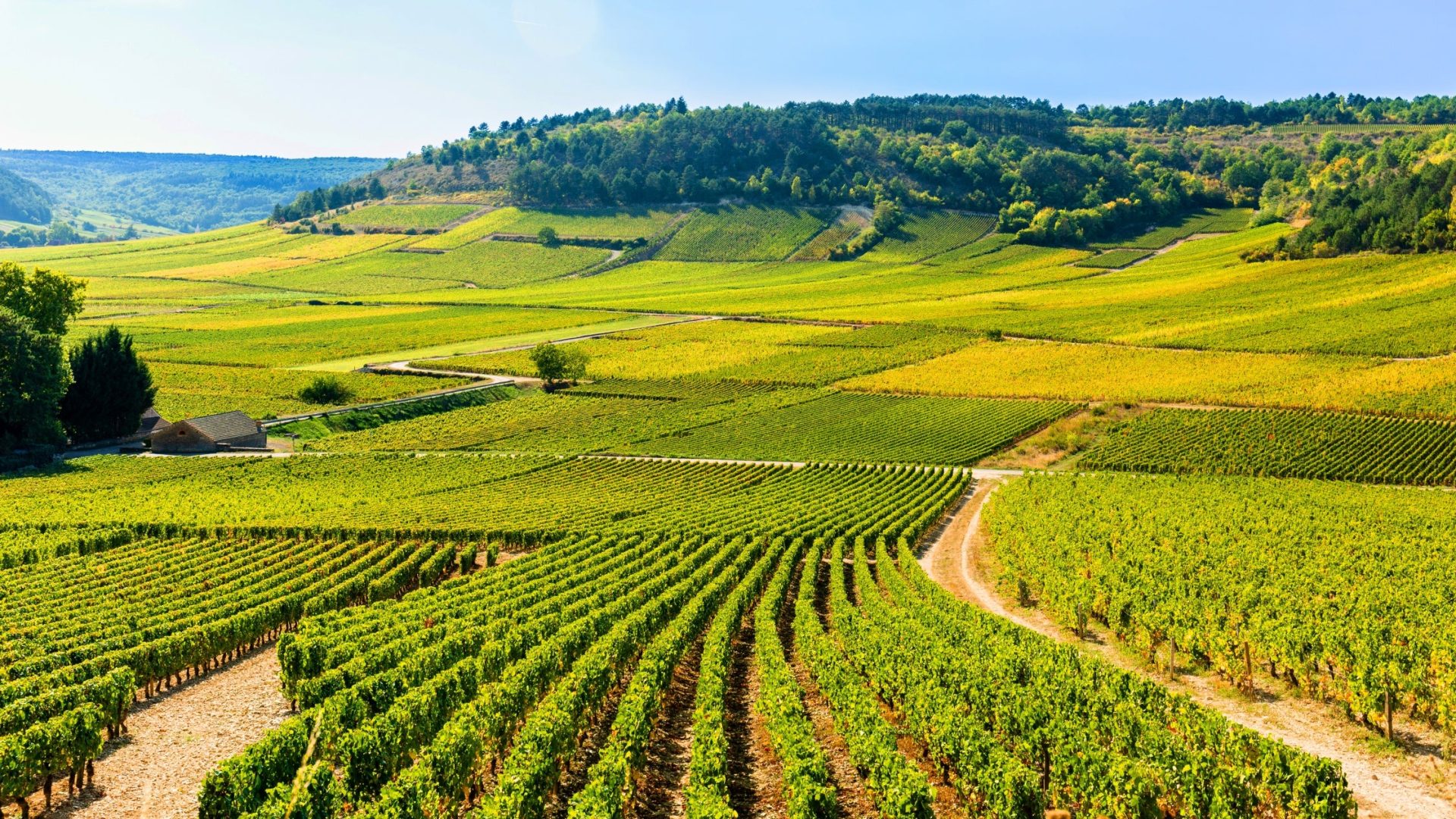 découvrez pourquoi 28 % des habitants de bourgogne-franche-comté choisissent de ne pas déclarer leurs sinistres. analysez les enjeux et les conséquences de cette tendance inquiétante sur la couverture assurance et la protection des biens.