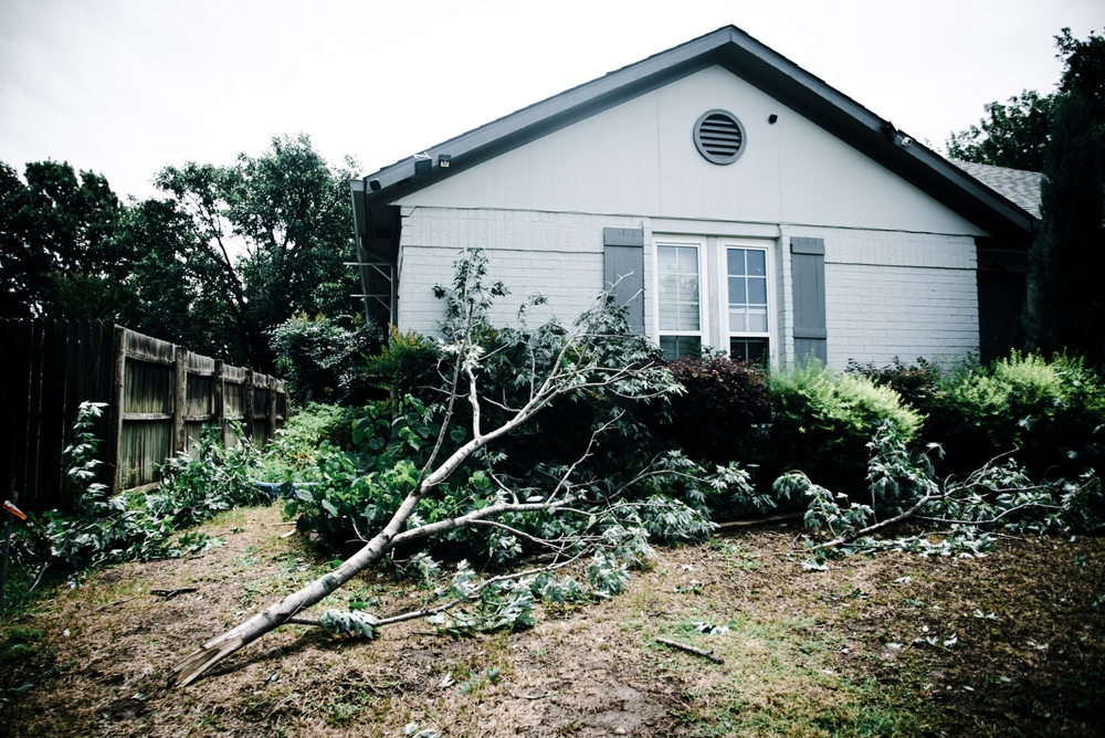 découvrez comment les catastrophes naturelles influencent les tarifs de l'assurance habitation et augmentent les risques de résiliation, pour mieux protéger votre logement.